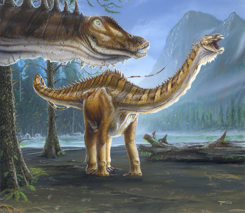 DINOSAUR -galeria - Diplodocus1.jpg
