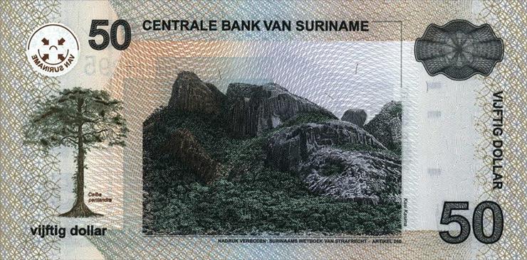 Suriname - SurinameP65-50Dollar-2004-donatedTA_b.JPG