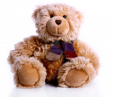 AAA Nasze ukochane Misie Pluszowe - 10556545-colesup-of-cute-teddy-bear.jpg
