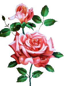 Gify Kwiaty Róże - ruze45.gif