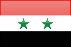 FLAGI 2 - Syria.png