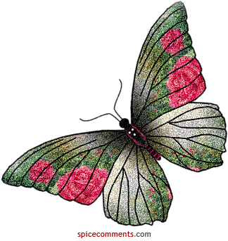 Motyle ... motylki - 00017.gif