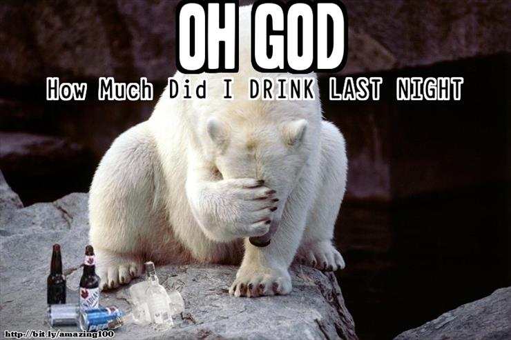 Smieszne zdjecia - Funny alcohol memes OH GOD-smieszne-memy-o-zwierzetach.jpg