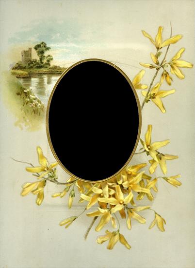kwiaty - Floral_Frame_No6_by_DustyOldStock.png