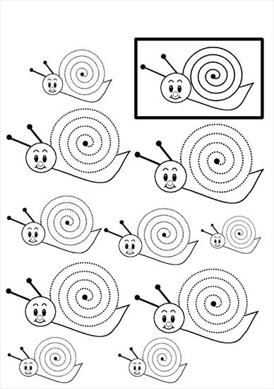 ŁĄKA - spirale-escargot.jpg