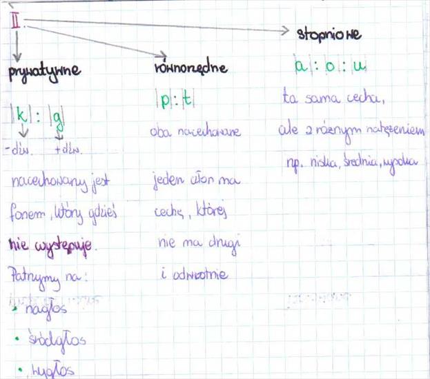 LOGOPEDIA- MATERIAŁY - opozycje fonologiczne 2.jpg