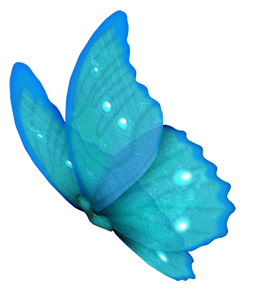 MOTYLE PNG caimer2 - Pretty Butterfly4.png