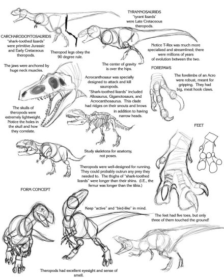 Nauka rysowania - Theropod_Tutorial_by_Droemar.jpg