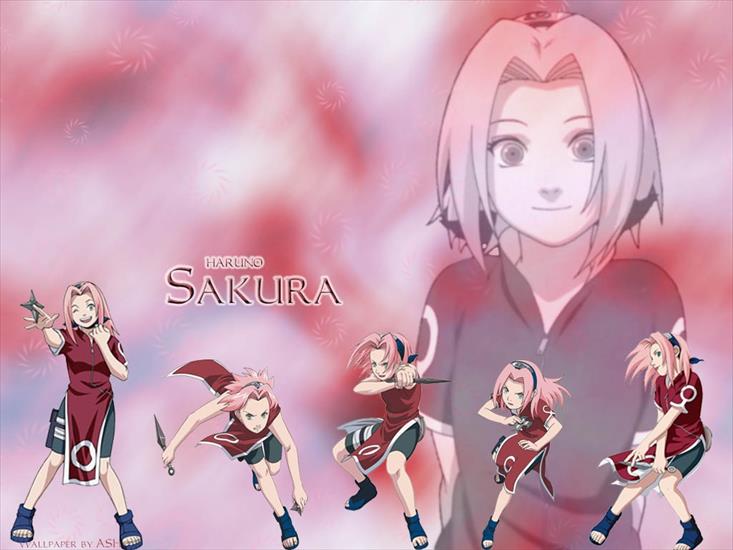 Sakura - haruno-sakura.jpg