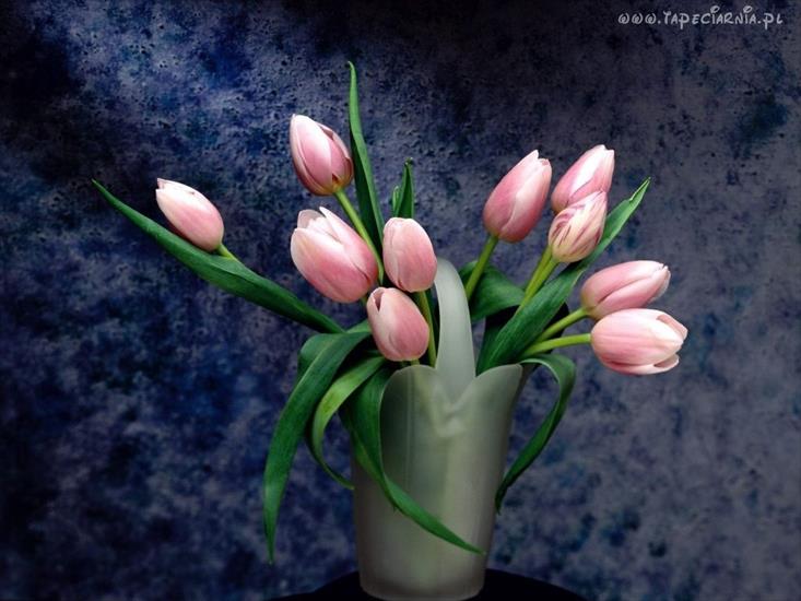 tapeta kwiaty - 5128_tulipany_wazon.jpg