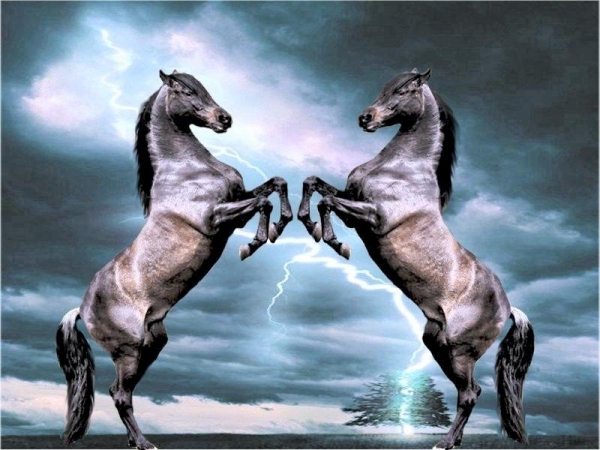 Zwierzęta - konie_na_tle_nieba.jpg