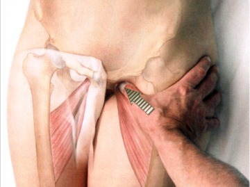 Anatomia masażu - 9-30.JPG