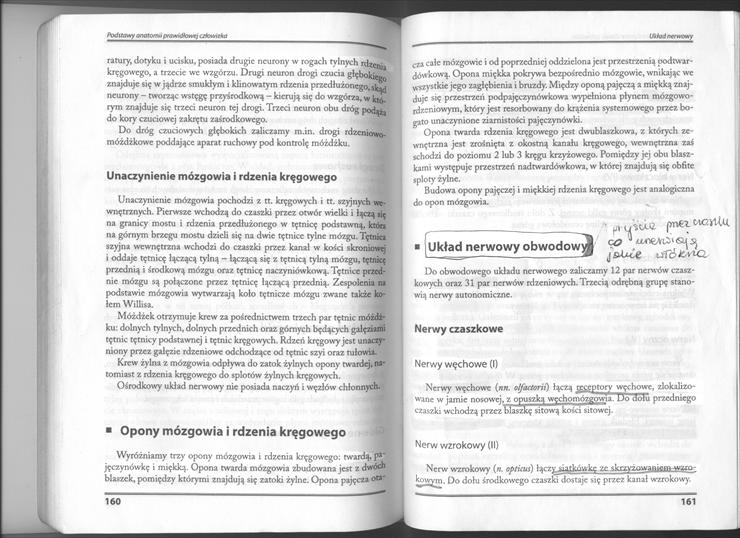książka Zbigniew Wójtowicz - Podstawy anatomii człowieka - 2010-10-22 20-07-37_0004.jpg