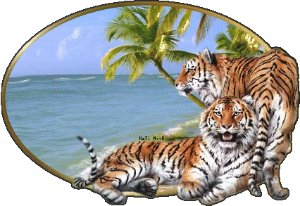 tygrysy - 1.zwierzeta-tygrysy.gif