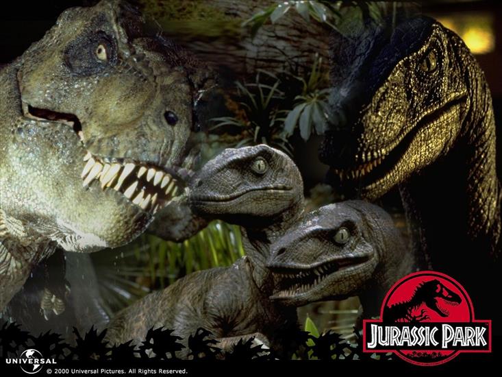 Film - Jurassic_Park_1_0755.jpg