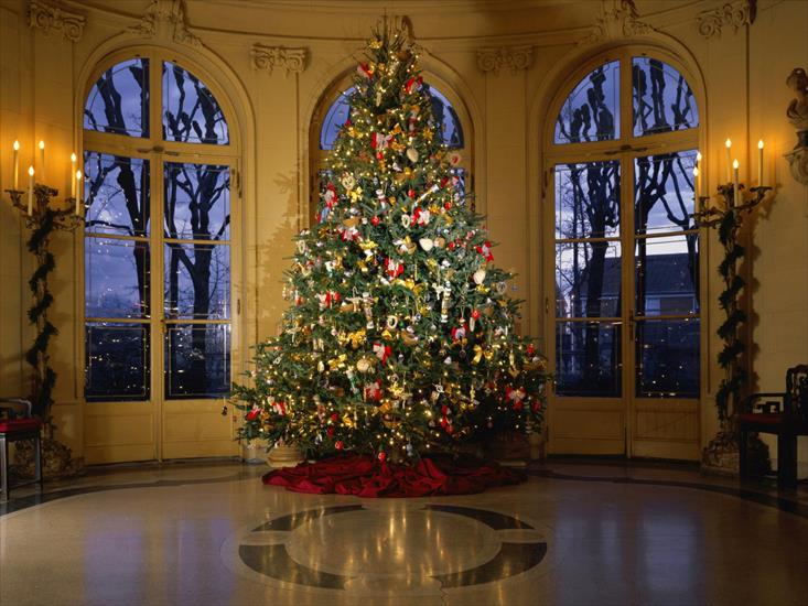 Tapety - classy-christmas-tree.jpg