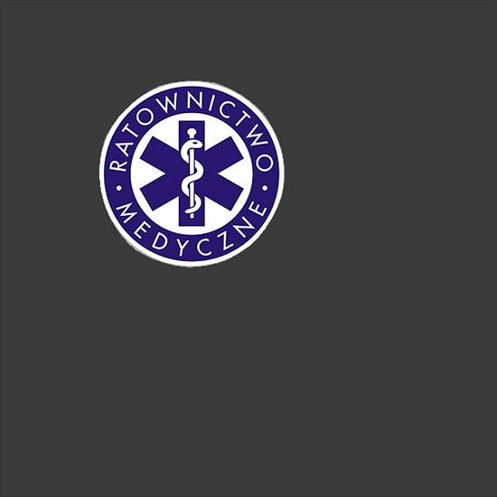 VW_LT - logo szyba2.png