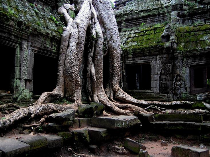 Tapety na pulpit komputera HD - Nature_Other_The_temple_in_the_jungle_015301_.jpg