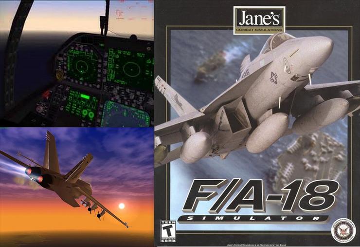 Janes FA-18 - janes f18.jpg