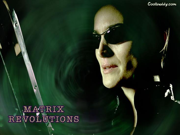Matrix - Trinity 23.jpg