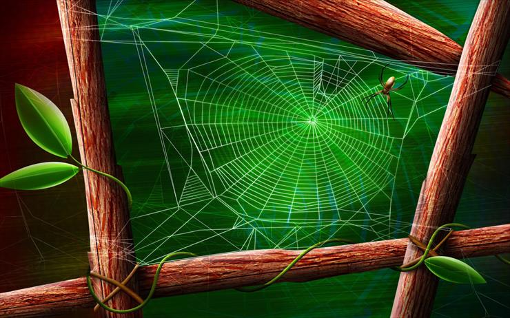 TAPETY-1 - Drawn_wallpapers_Spider_and_the_Web_011305_1.jpg