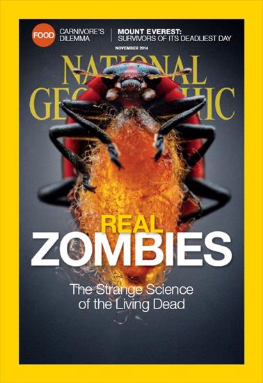 DO ODDANIA - National Geographic USA - November 2014.jpg