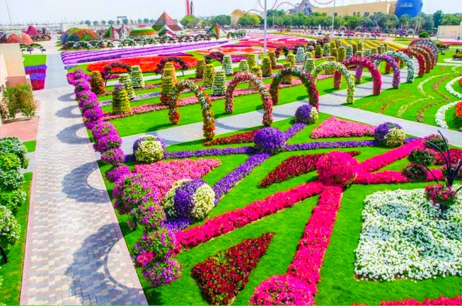 Piękny ogród kwiatowy Al Ain - 202.jpg