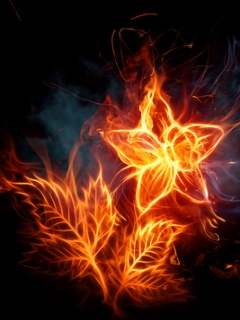 Ogniste - Fire_Flower.jpg