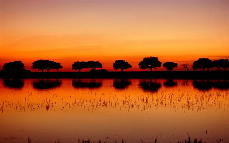 Best Beautiful Miriadna - Sunset region.jpg
