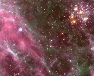 hubble - tarantula nebula hodge 301.jpg