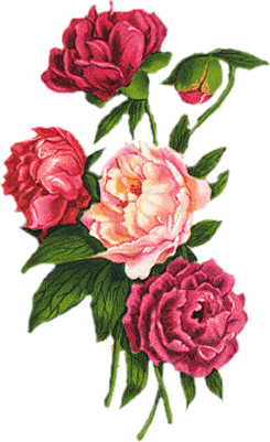 pliki gif - róża1 34.gif