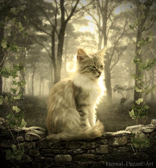 KOCI świat - the_white_cat_by_eternal_dream_art-d6k1z2b.jpg