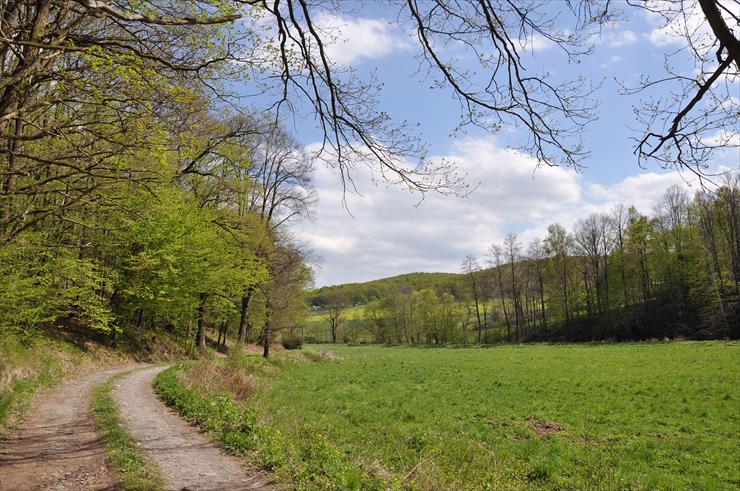 Rezerwat nad Groblą-Czechy - dsc_4557_25148344004_o1.jpg