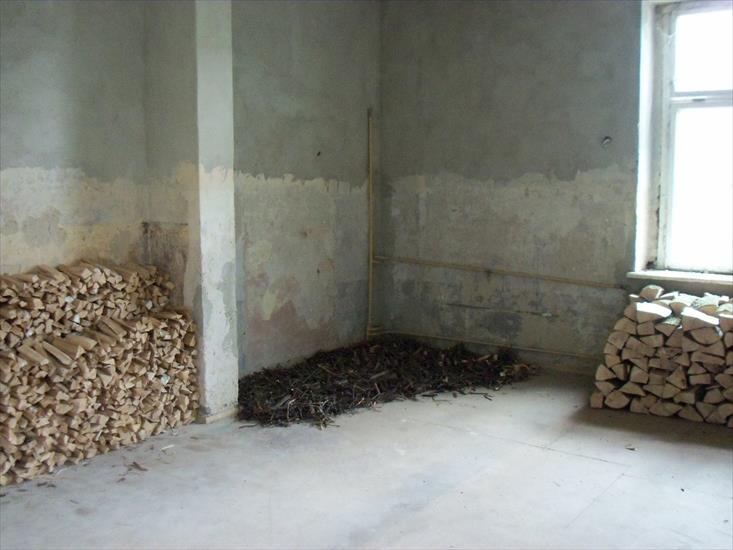 Drewno i węgiel - 100_2525.JPG
