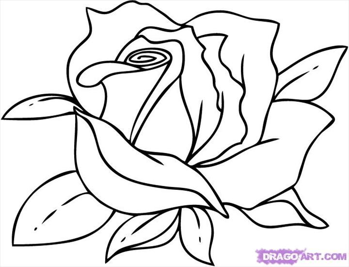 Stemple1 - how-to-draw-a-cartoon-rose-step-6.jpg