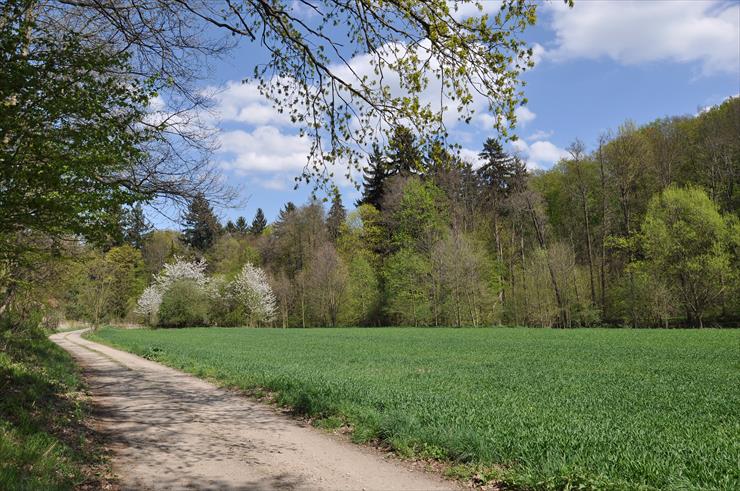 Rezerwat nad Groblą-Czechy - dsc_4562_25752804896_o1.jpg