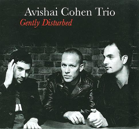 Avishai Cohen - Gently Disturbed 2008 - front.jpg
