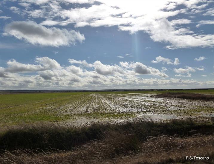 001 - tierras-anegadas-flooded-lands_12544985085_o.jpg