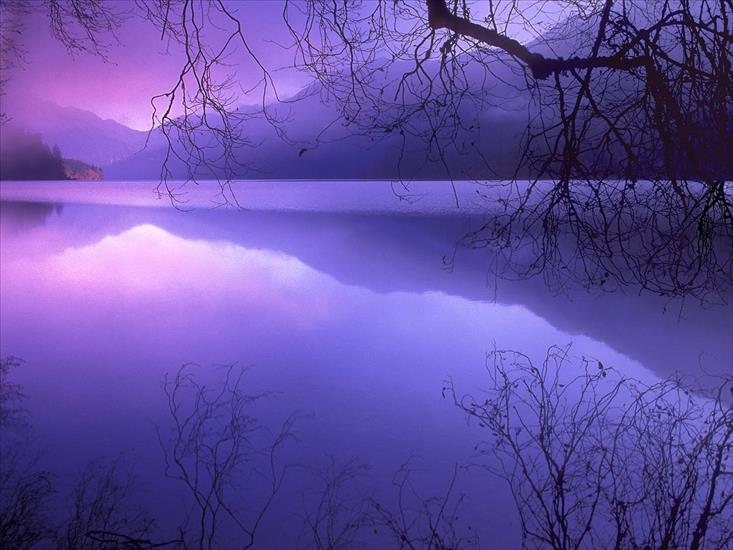 tapety - Purple Haze over Lake Crescent, Olympic National.jpg