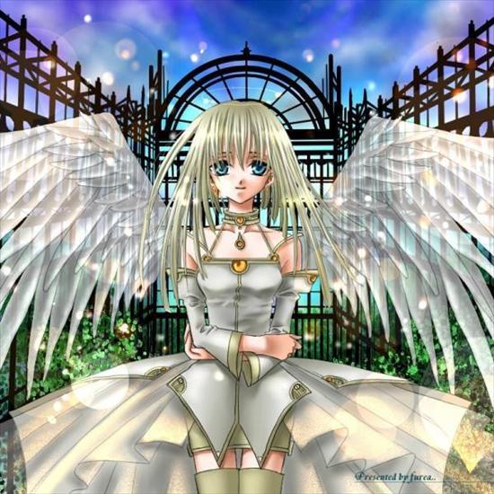 anime anioły - 52a7f80fc98180_full.jpg