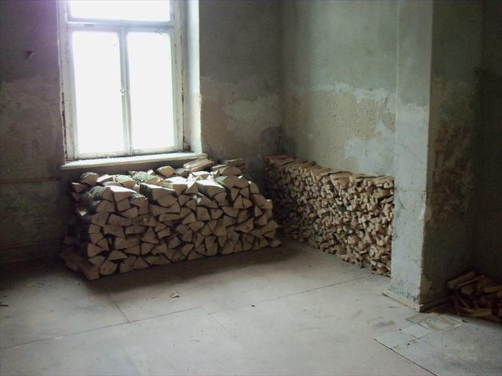 Drewno i węgiel - 100_2524.JPG