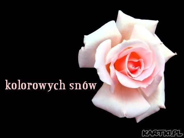 DOBRANOC  1 - kolorowych_snow_1.jpg