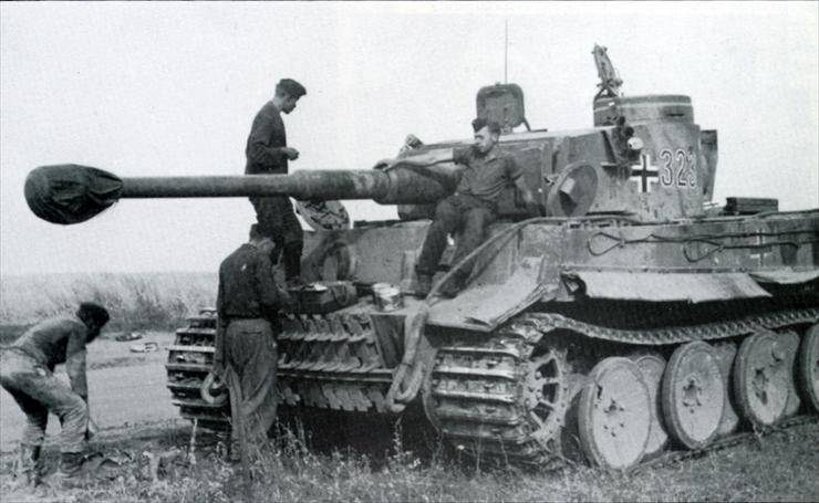 niemieckie - Tiger 23.jpg