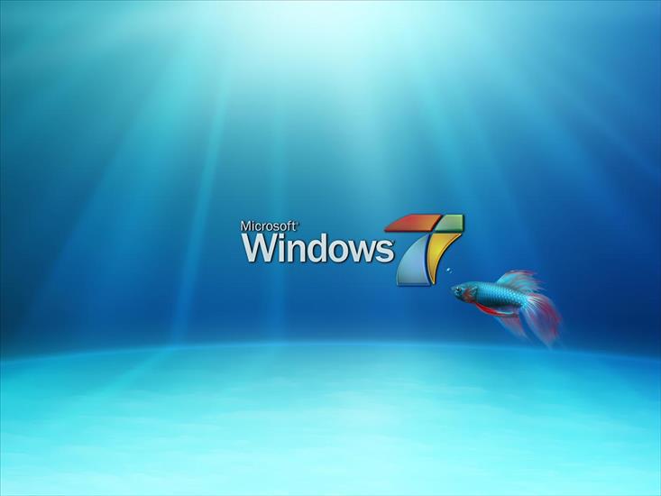 TAPETY WINDOWS - windows7-new-wallpaper-fish_original.jpg