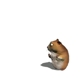 zdjęcia - hamster_1587.png