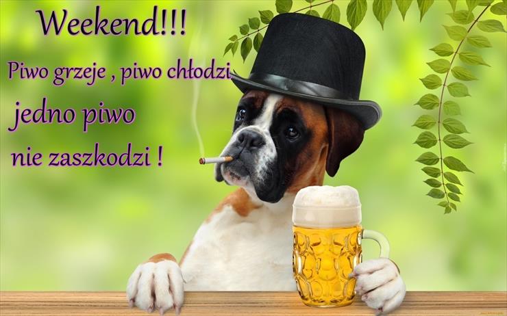 Pozdrowienia na weekend - memy.tapeciarnia.pl-jedno-piwo-nie-zaszkodzi.jpg