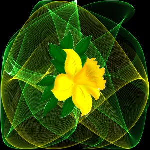 z kwiatami - laser29.jpg