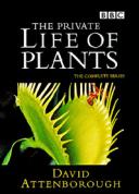 Prywatne życie roślin 1995 - Prywatne życie roślin 1995.jpg
