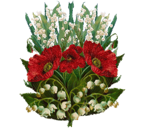 gify-konwalie - kwiaty konwalie562.gif