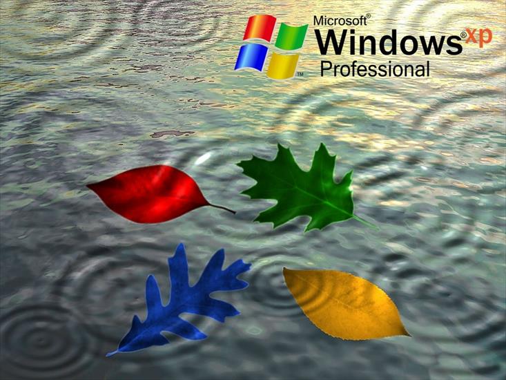 Windows - 43.jpg